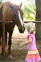 web_IMG_9191a